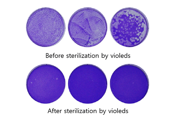 UV LED燈，能不能殺死冠狀病毒？