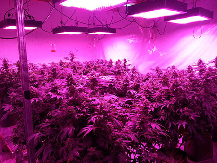 疫情之下，照明燈具企業如何求生
